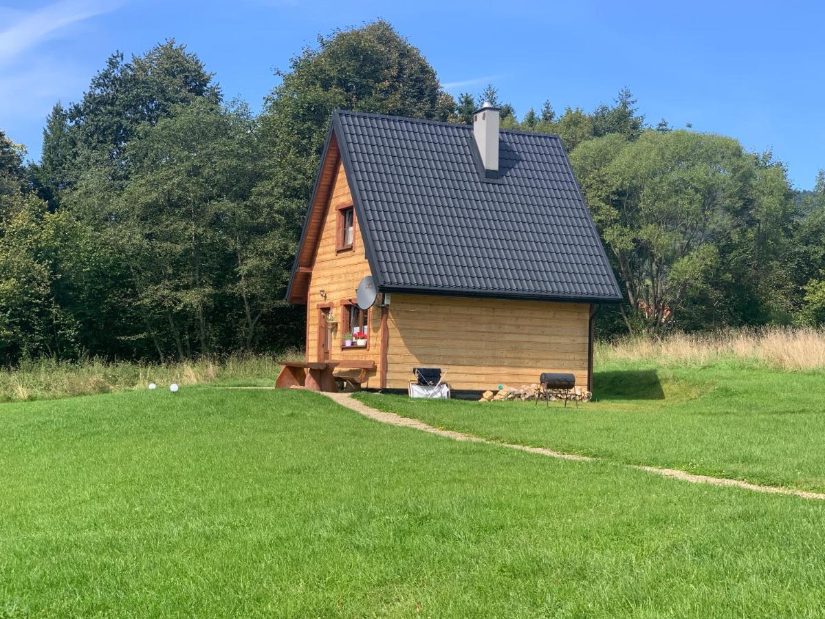 Dwernik Bukowina Bieszczady别墅 外观 照片